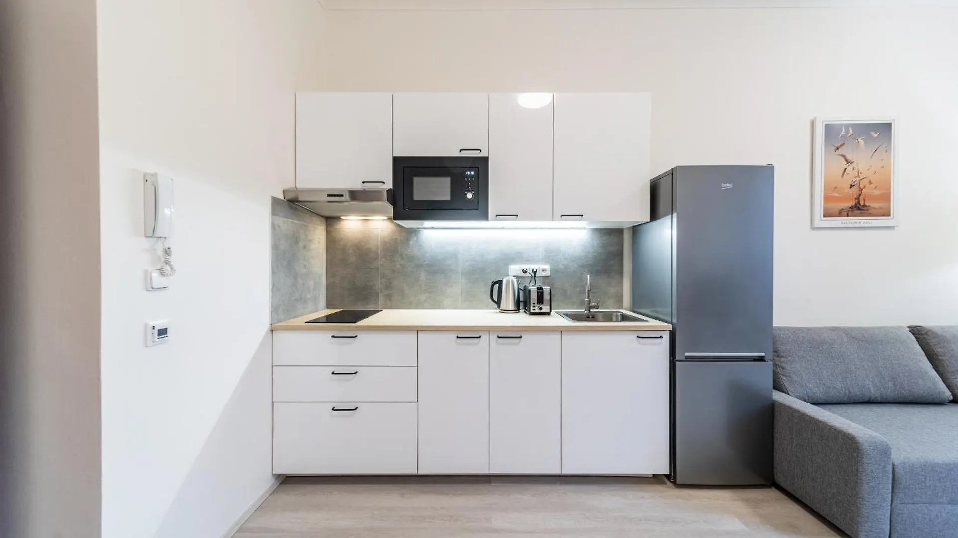 Apartments Borivojova 63 Prague