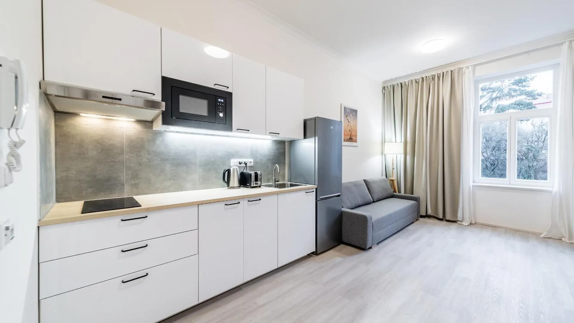 Apartments Borivojova 63 Prague