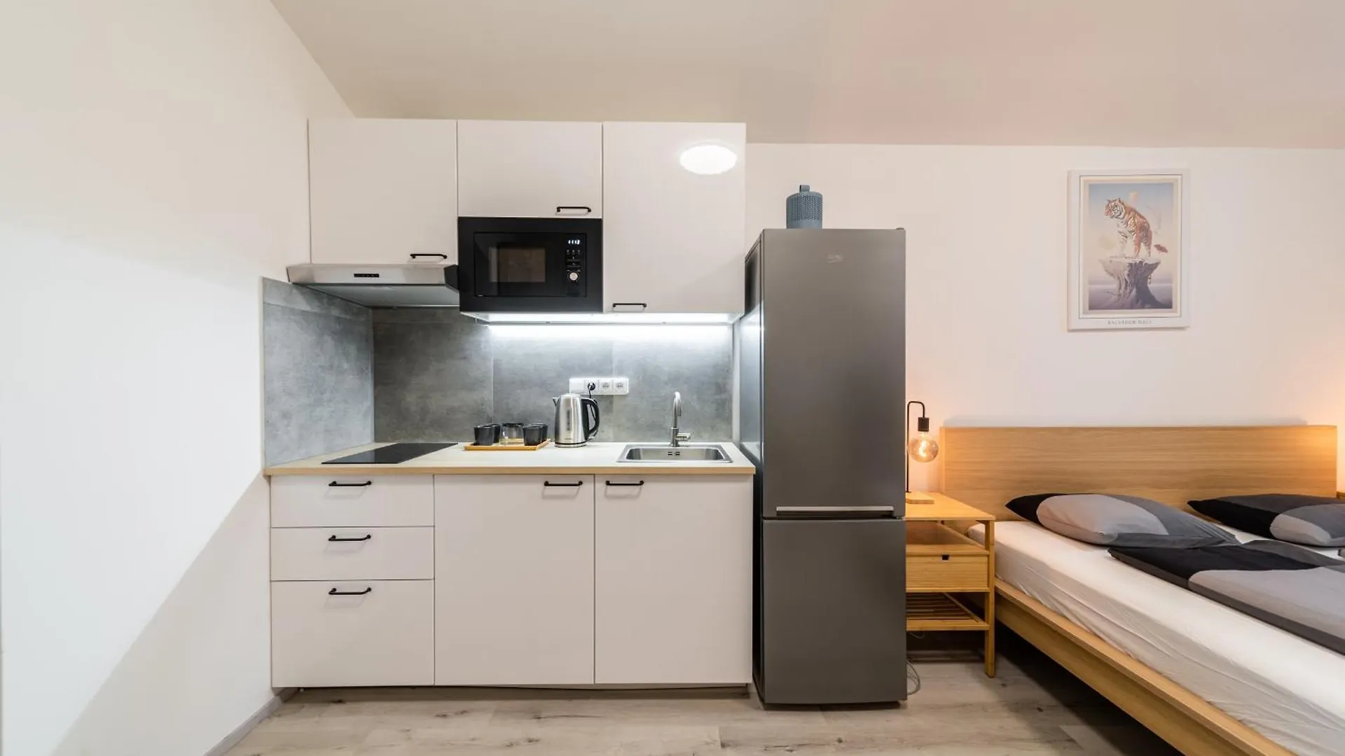 Apartments Borivojova 63 Prague