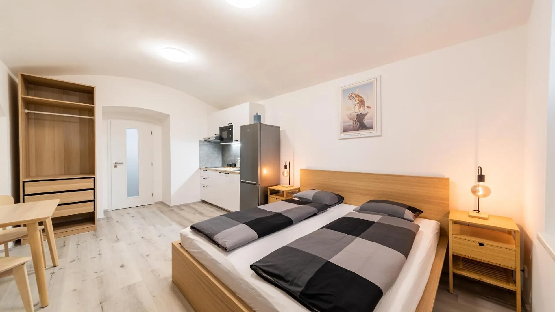 Apartments Borivojova 63 Prague