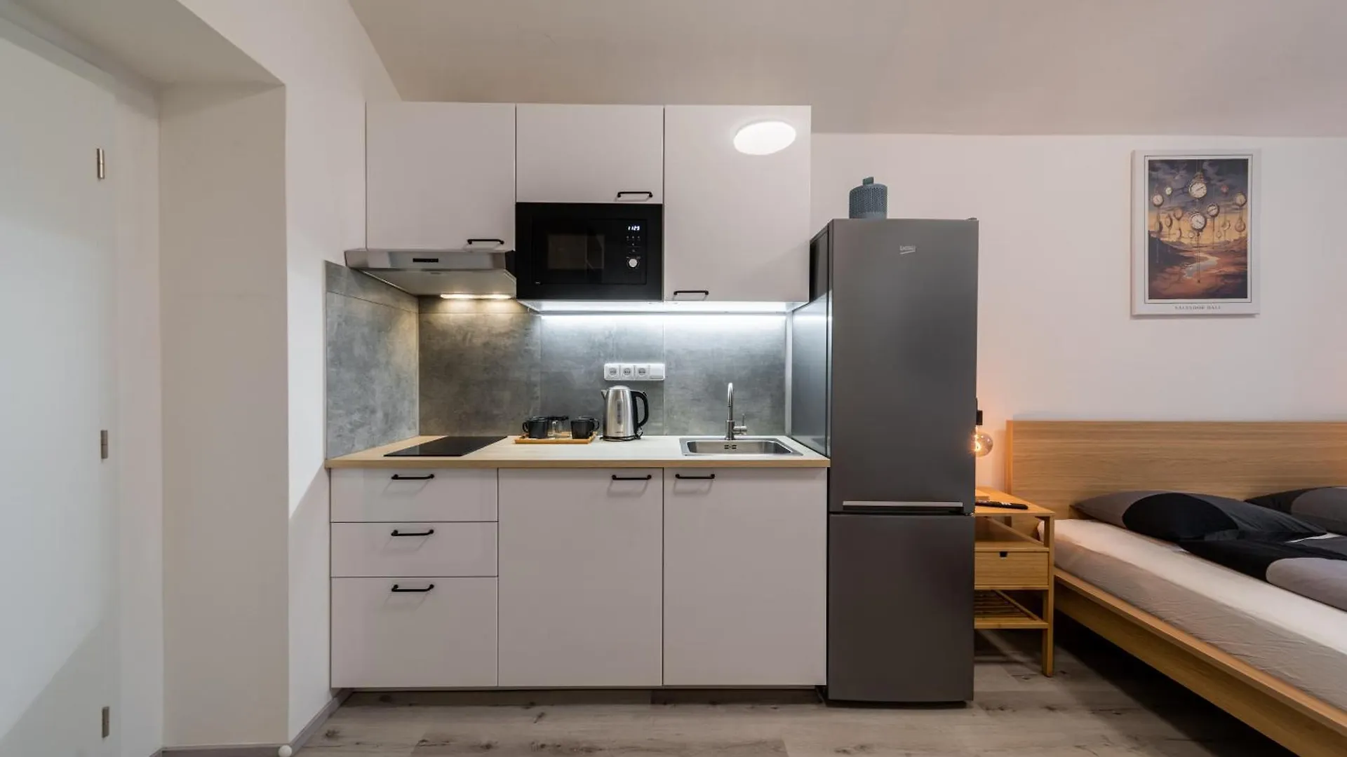 Apartments Borivojova 63 Prague