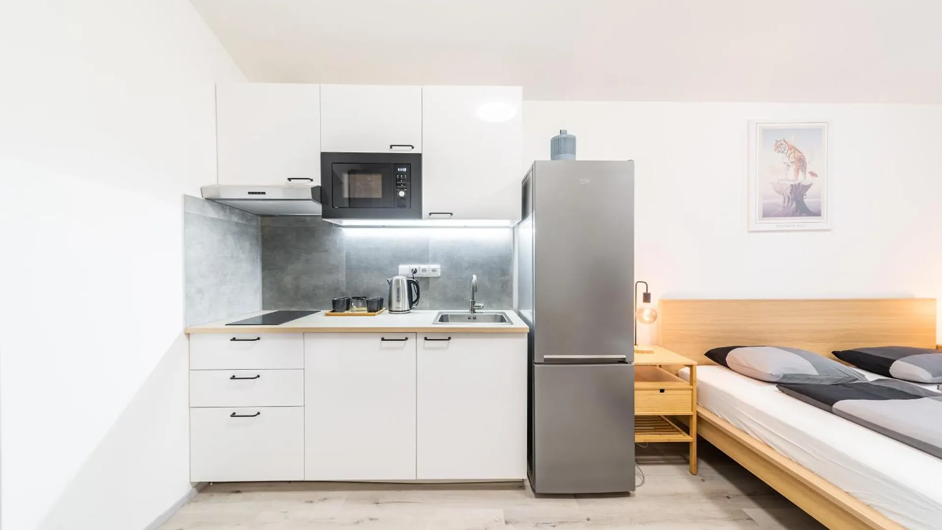 Apartments Borivojova 63 Prague