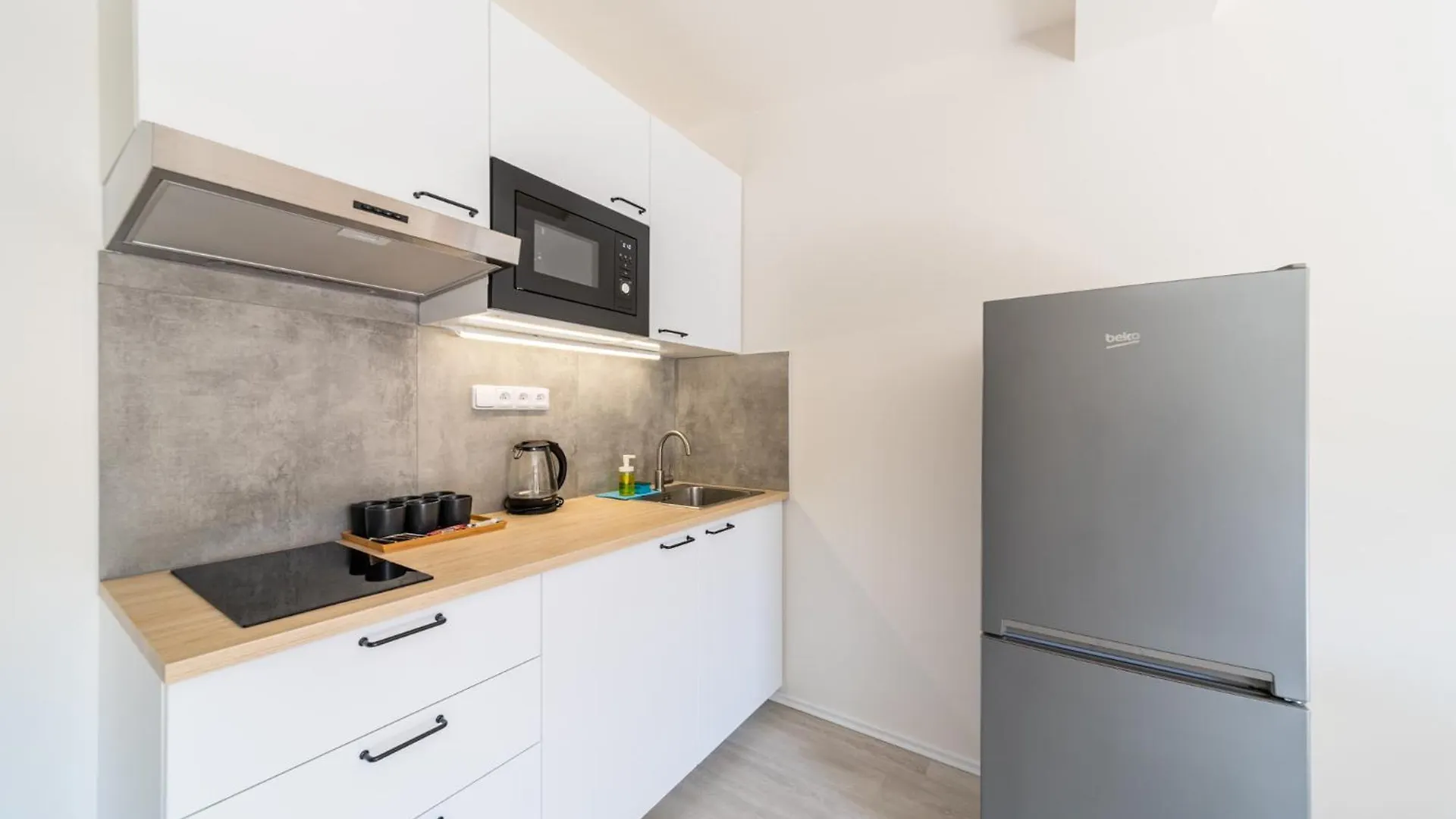 Apartments Borivojova 63 Prague