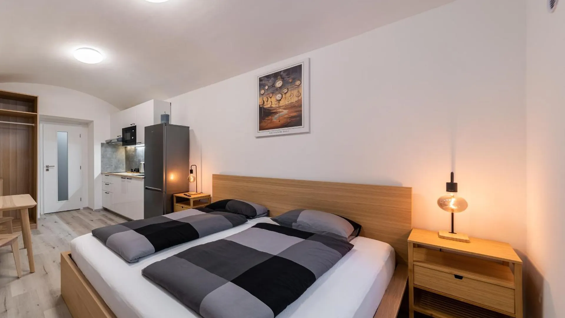 Apartments Borivojova 63 Prague